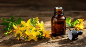 Flores amarillas de hipérico y aceite de hierba de San Juan mostrando sus propiedades